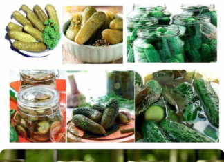 Самые популярные заготовки на зиму