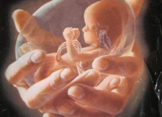 Быть в ответе за жизнь