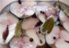 Как вкусно засолить свежую скумбрию в рассоле?