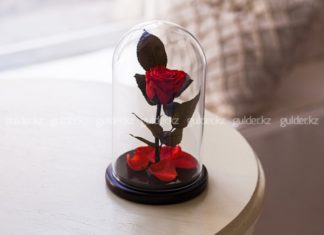 Значение розы в стеклянной колбе