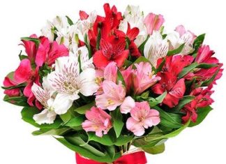 Где заказать цветы круглосуточно?