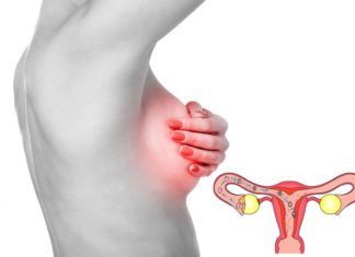 По какой причине грудь болит во время овуляции и после нее?