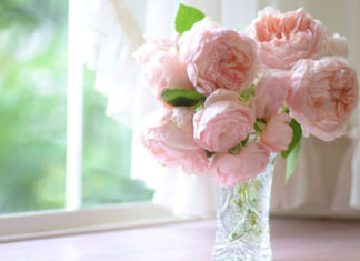 Пионы: цветы для нежной особы