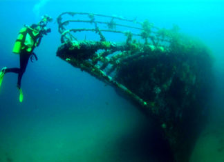 Погружение с аквалангом в Крыму: насладись красивым подводным миром