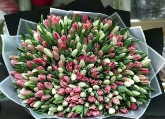 101 тюльпан: как 101 причина любви