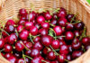 Где купить ягоды свежей черешни в Спб