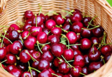 Где купить ягоды свежей черешни в Спб