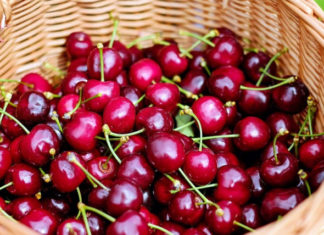 Где купить ягоды свежей черешни в Спб