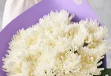 Что символизирует букет из хризантем?