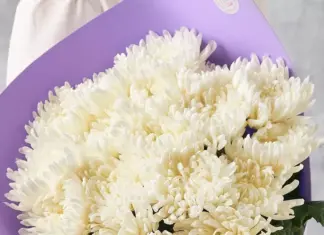 Что символизирует букет из хризантем?